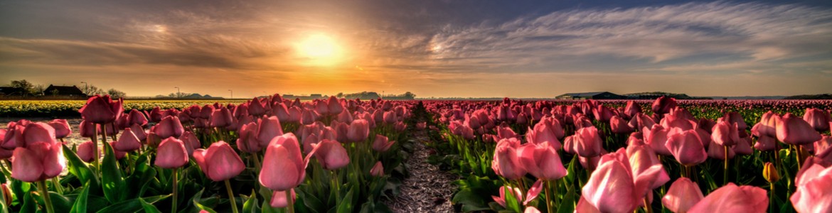 Vinaora Nivo Slider 3.x